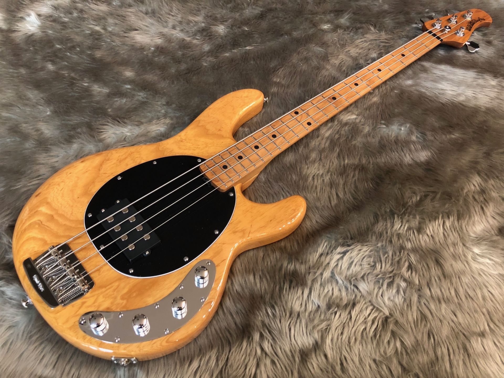 StingRay4SP1H/M BK