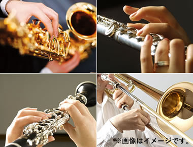 【講師紹介】管楽器・弦楽器・声楽・オカリナ科講師まとめ