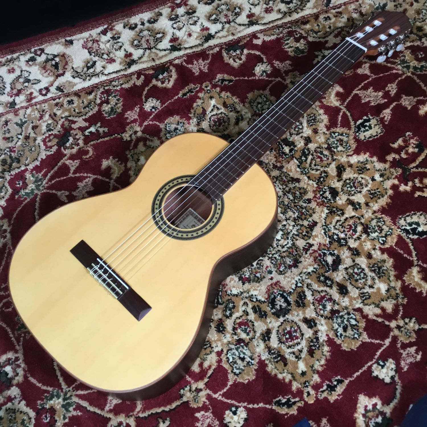 EsteveJUCAR 650mm