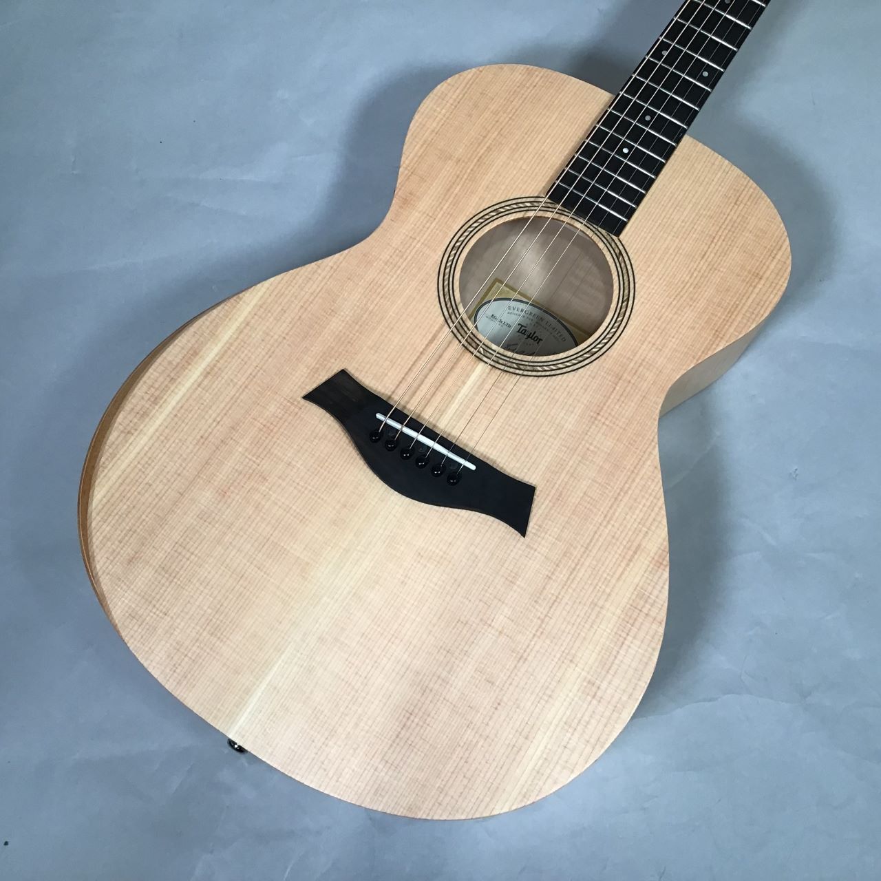 TaylorLTD EG Academy 12e 