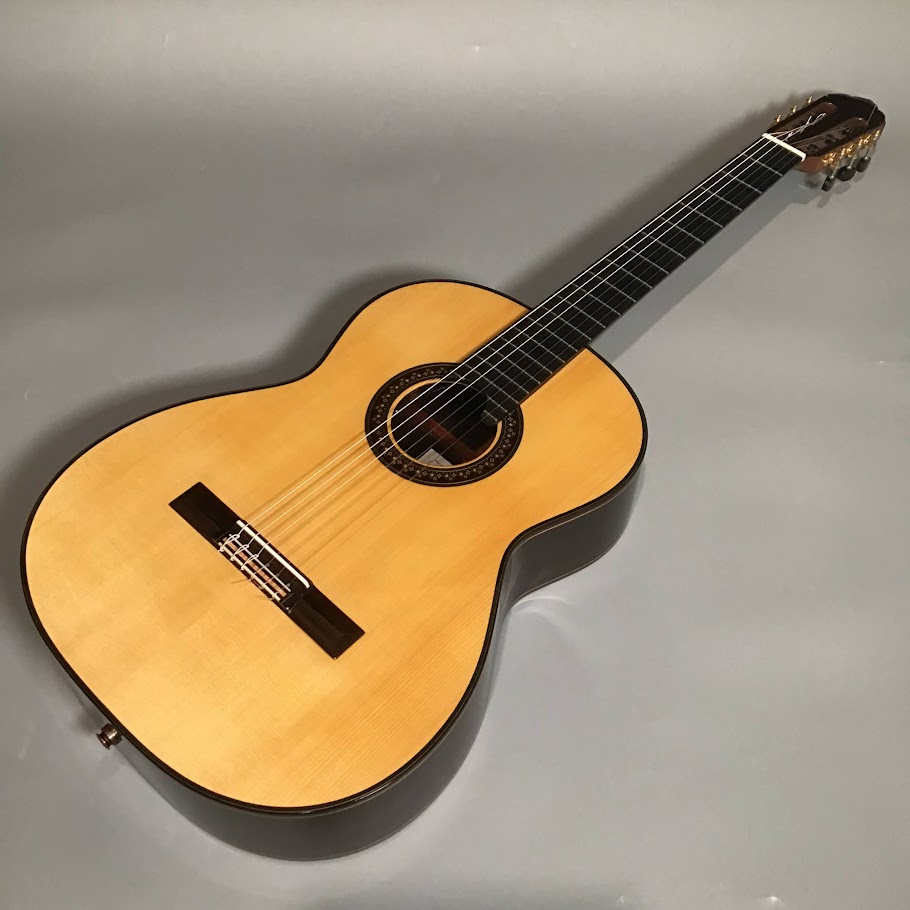 君島聡Gemini-EL/S/R/650