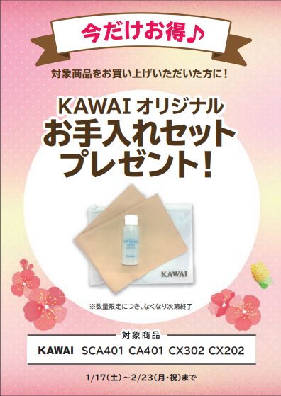 お手入れセットプレゼント