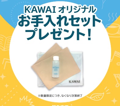 お手入れセットプレゼント