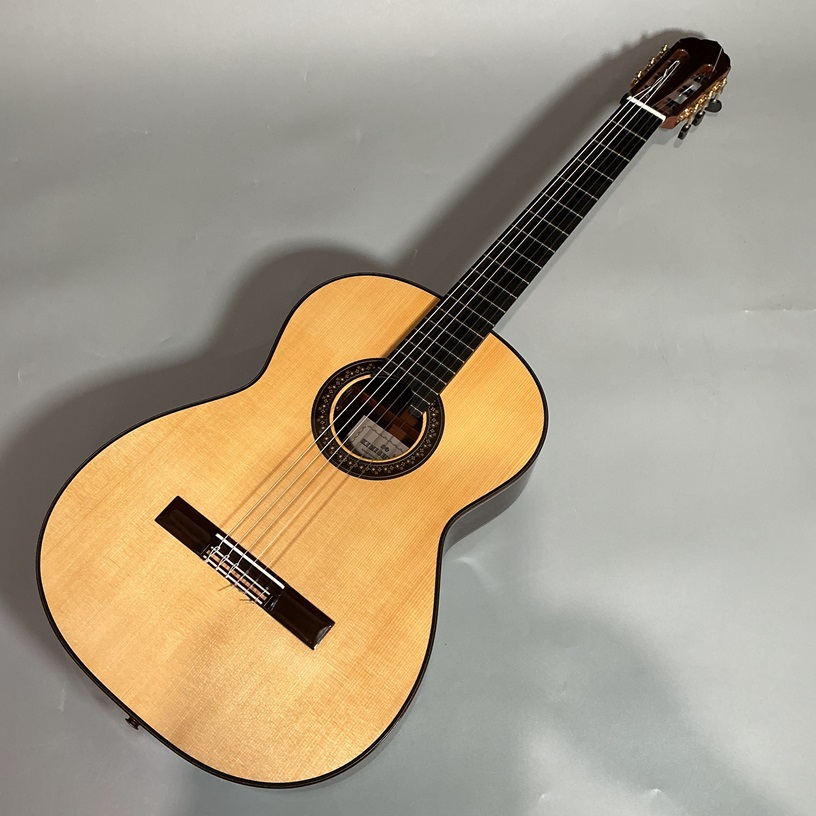 君島聡Gemini-EL/S/R/650