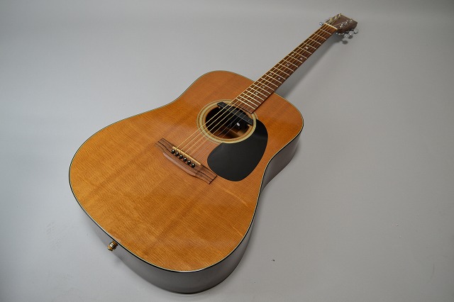 品質のいい Martin DRS1 Fishmanピックアップ ※ハードケース付