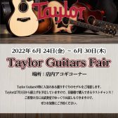 値上がり前のラストチャンス！Taylor Guitars Fair【6/24(金)～6/30(木)】