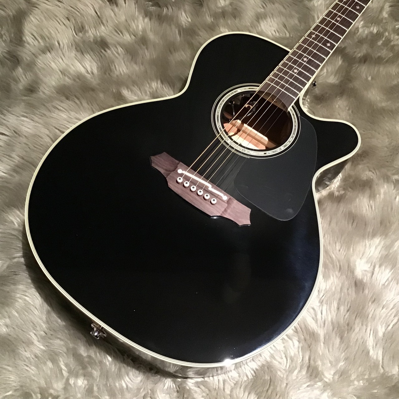 TakamineTDP561C