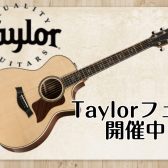 【4/27(土)～5/6(月祝)】Taylorフェア開催！