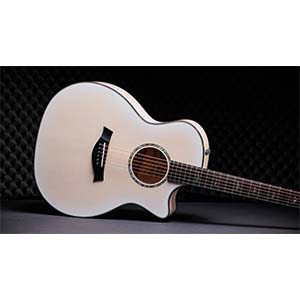 TaylorLTD 614ce 50th