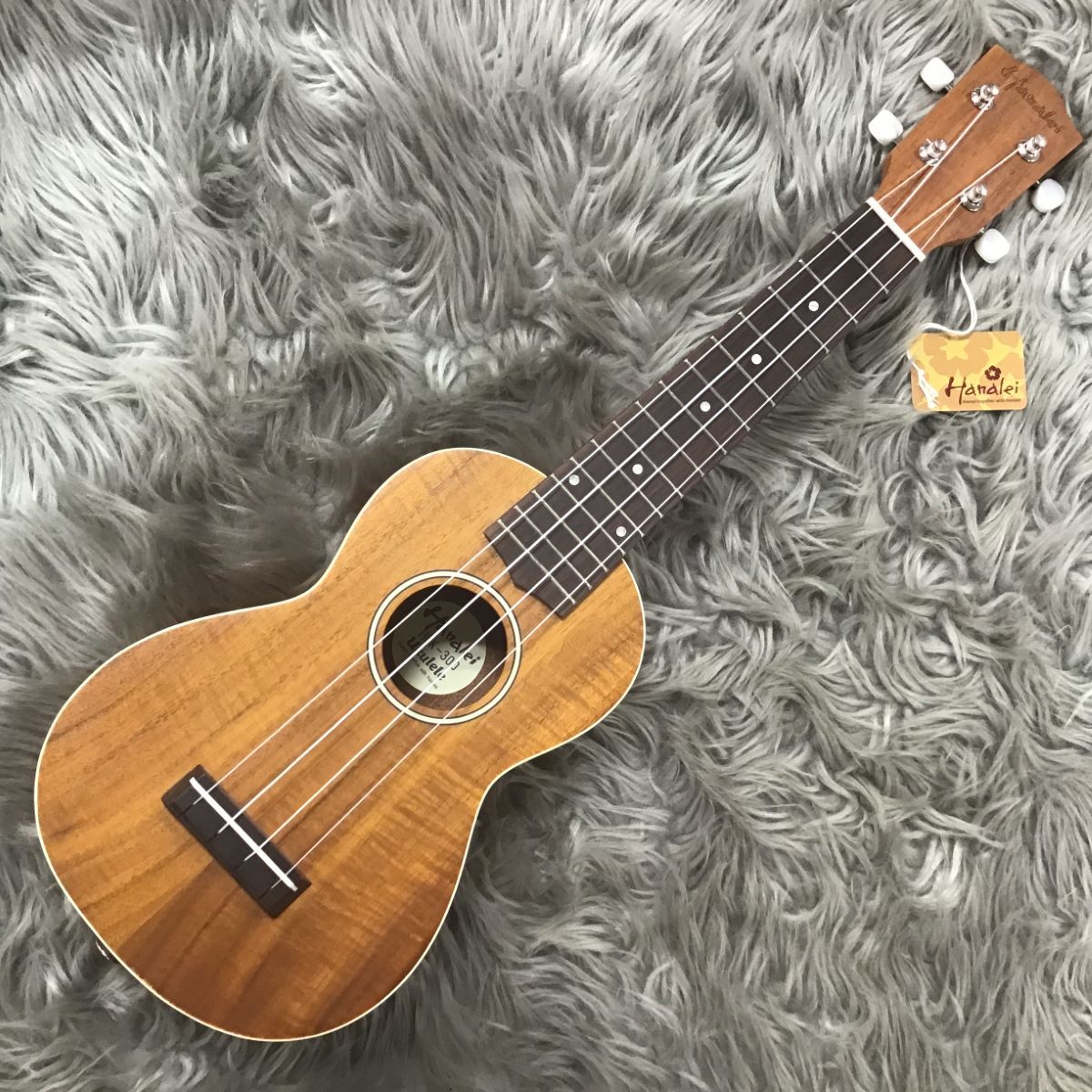 HanaleiHUK-300