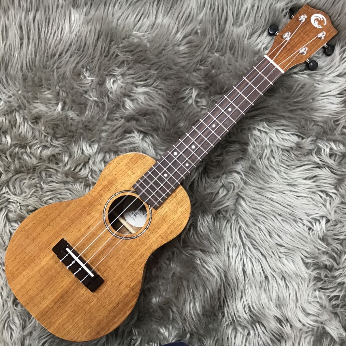 COTONECS5C