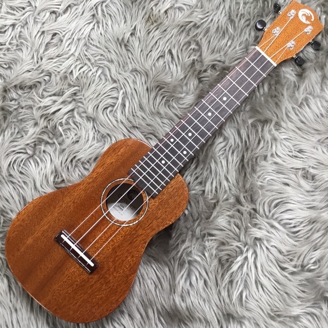 COTONECS7SL