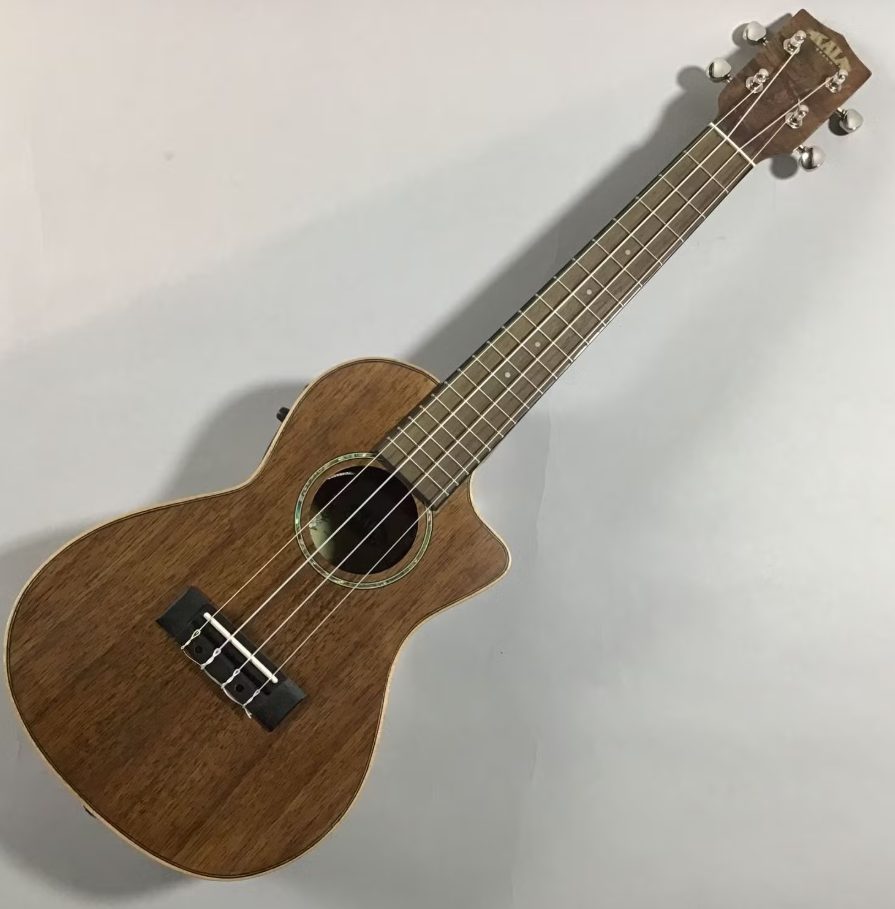KALAKA-KCE-C