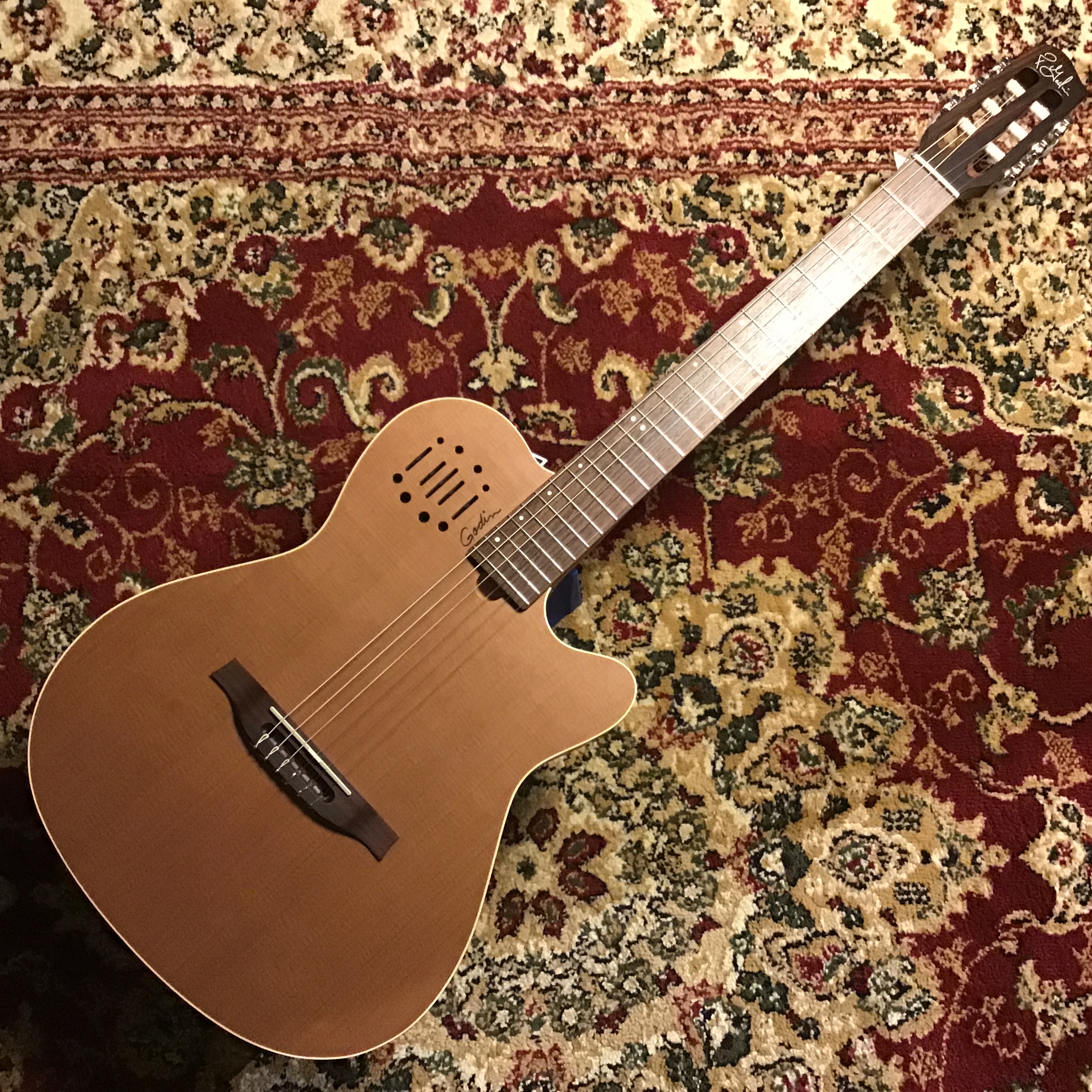 GodinMULTIAC NYLON ENC SG