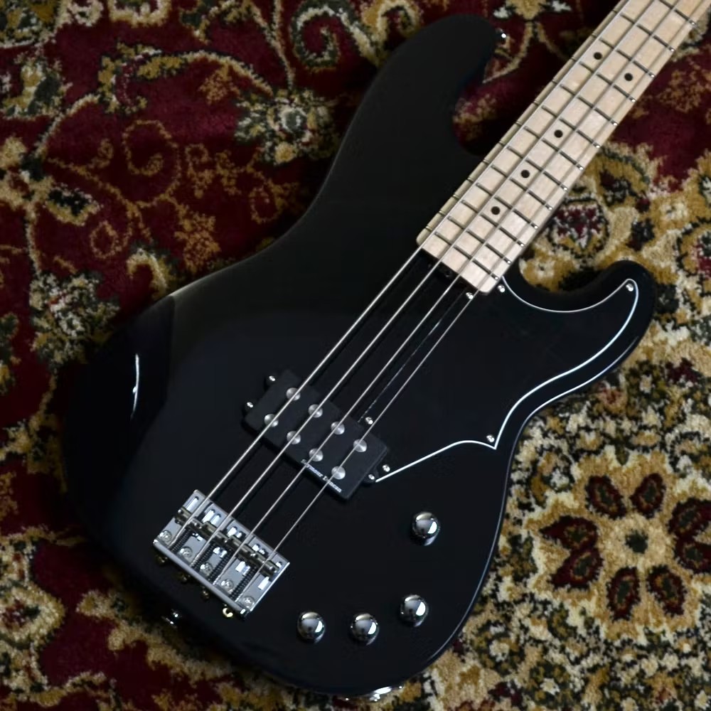 SCHECTERL-SGRY-AS/M Black