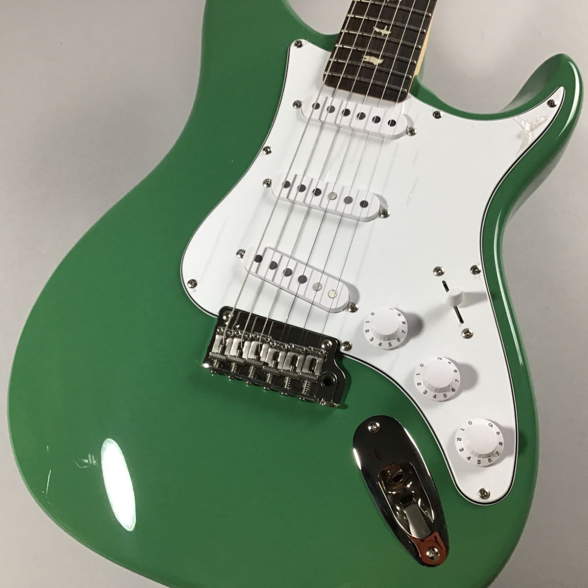 Paul Reed Smith(PRS)SE Silver Sky Evergreen