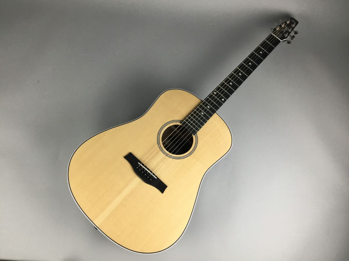 エレクトリックアコースティックギターMaritime SWS SG QIT