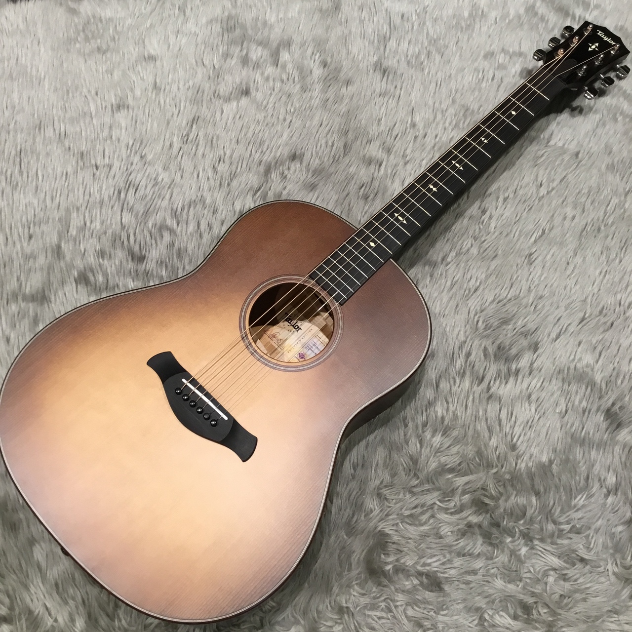 TaylorBuilder's Edition 517 V-Class