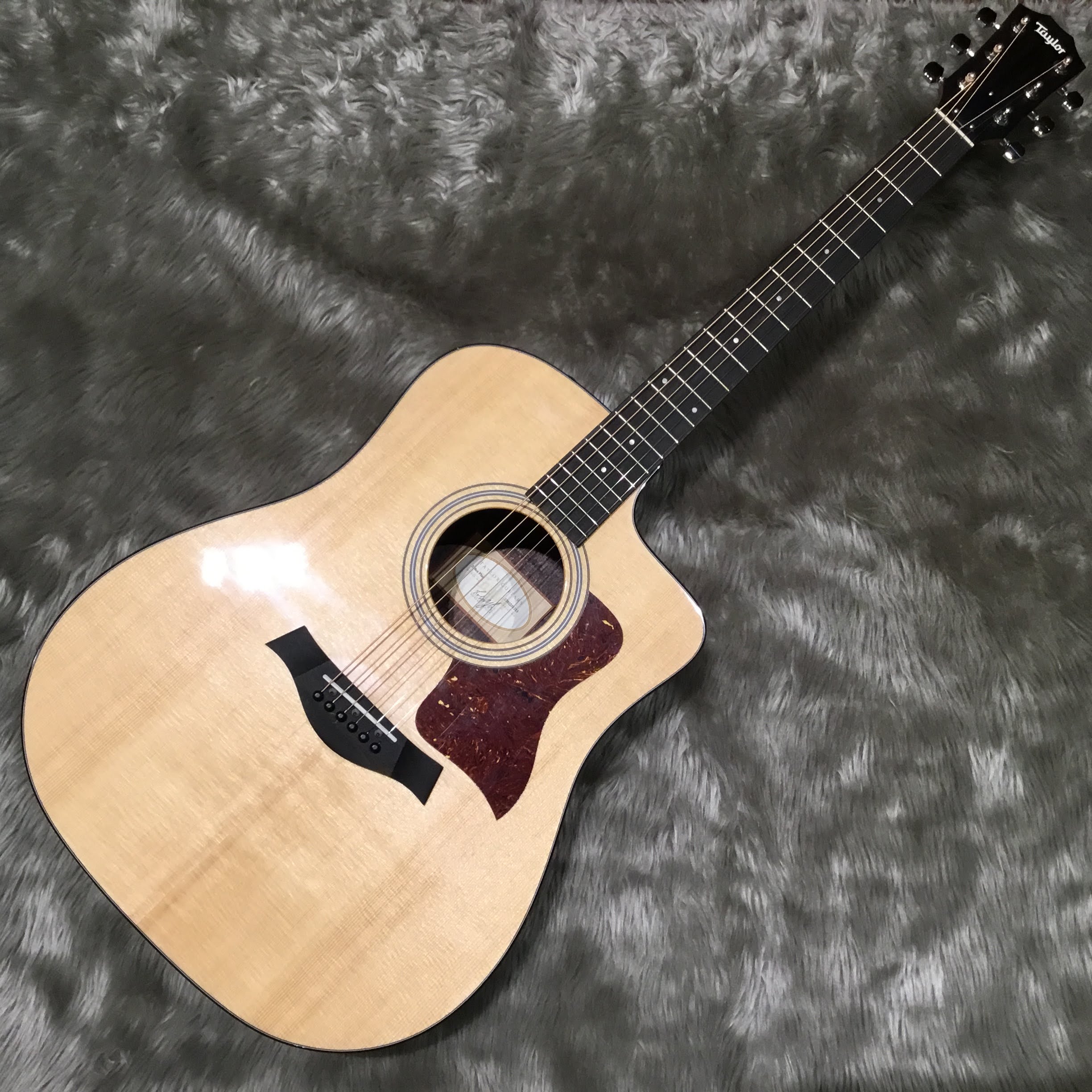 Taylor210ce Rosewood PLUS