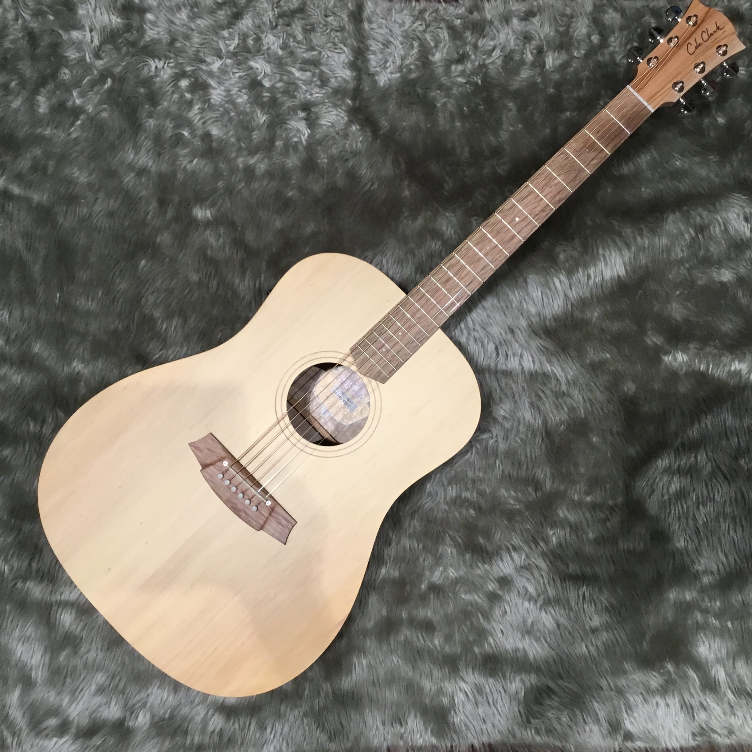 Cole ClarkCCFL1E-BM