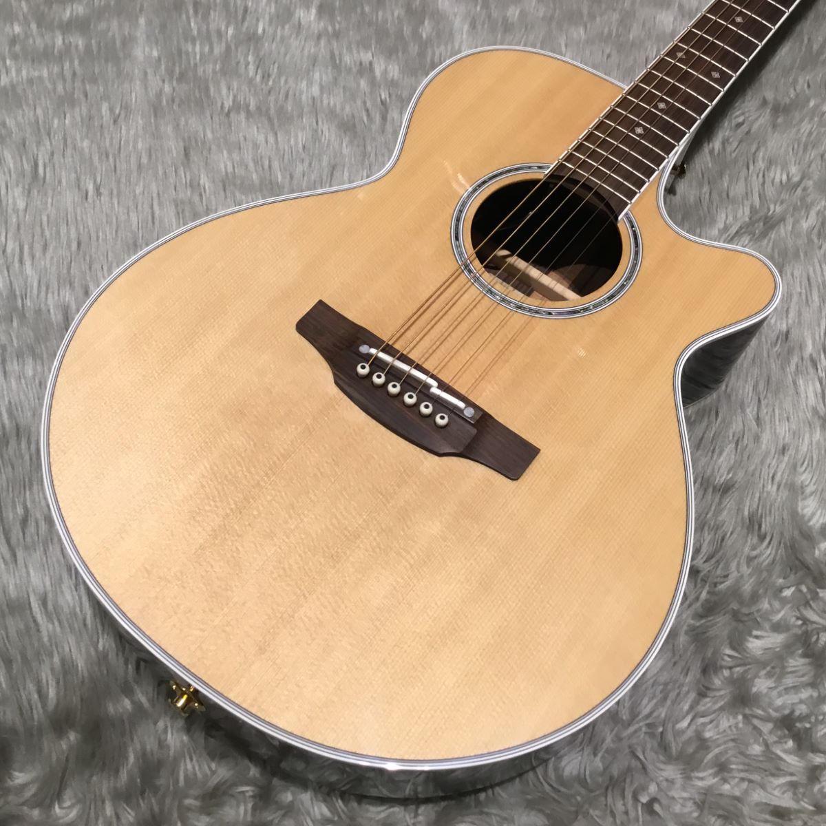 TakaminePTU141C N