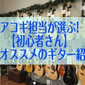 アコギ担当が選ぶ【初心者さん】にオススメのギターを紹介！