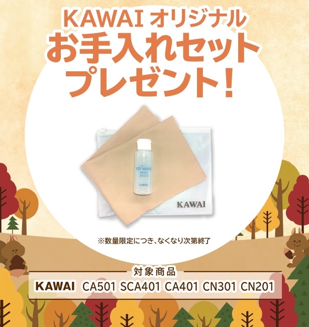 KAWAIお手入れセット プレゼント!