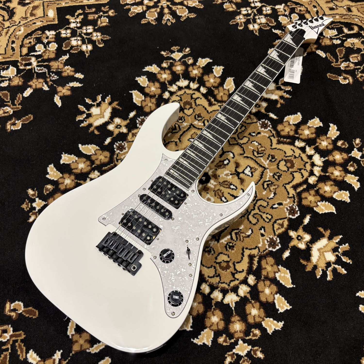 IbanezRGV250
