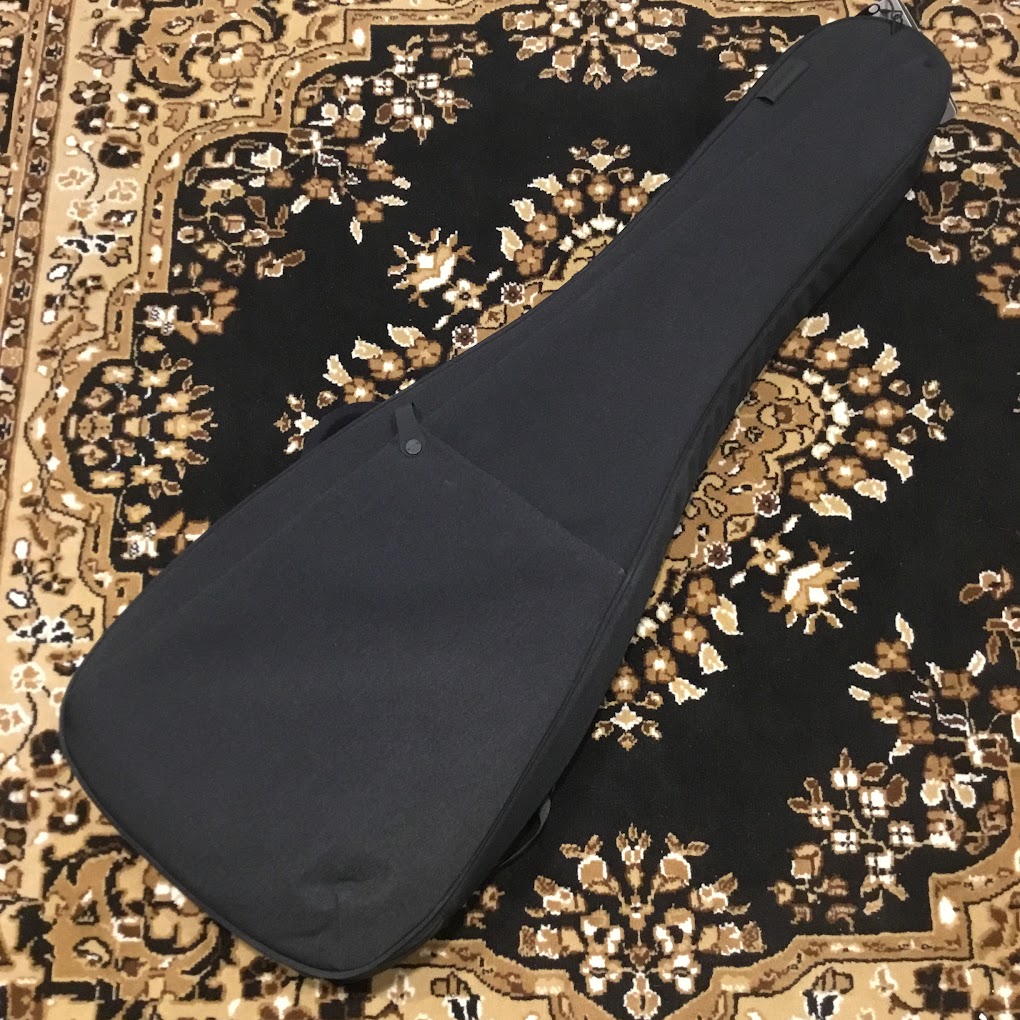 basinerセミハードギグケース