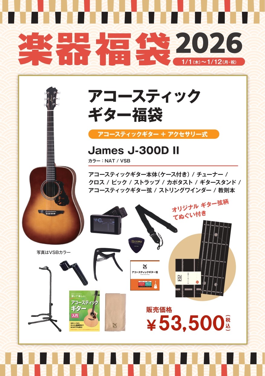 アコースティックギター福袋James　J-300DⅡ