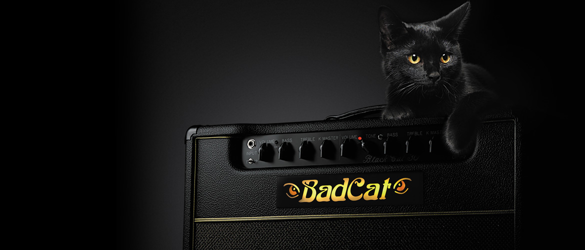 **Bad Cat USAとは？ [!!Bad Cat USA!!]は黄金期のヴィンテージアンプを超えるアンプを実現させることを目的として[!!2000年に設立!!]しました。現代の生産性重視の中で失われつつあった手間のかかる[!!ヴィンテージアンプ技術:クラスA回路、ポイント・トゥ・ポイント・ワイ […]