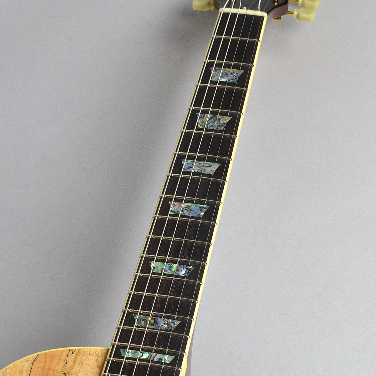 HISTORY HG-LS/25thの指板画像