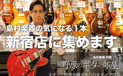 【緊急告知】別室 野原のギター部屋”島村楽器の気になる1本 新宿店に集めます”