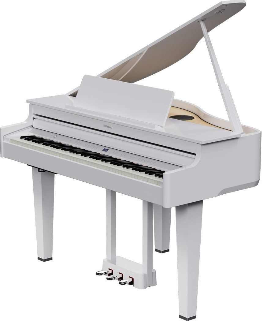 RolandGP-6 PWS(白鏡面仕上げ)(展示中)