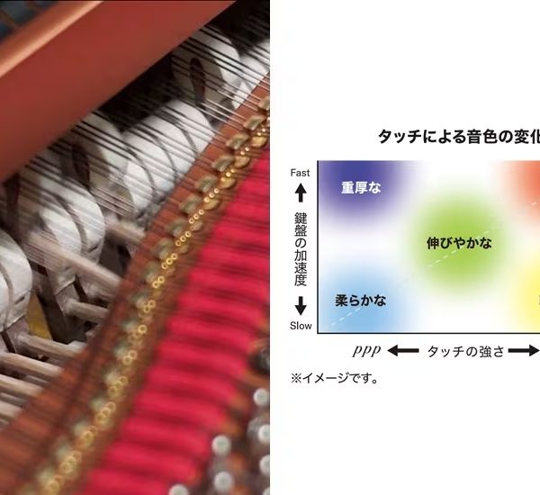 多彩な音色や響きなど細やかなニュアンスまで表現する<br />
「グランド・エクスプレッション・モデリング」