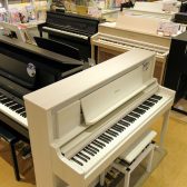 【電子ピアノ】2025年4月最新！ポータブル型電子ピアノ展示ラインナップ