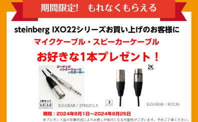 【DTM】steinberg IXO22 キャンペーン開催中！ 8/25（日）まで