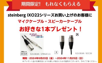 【DTM】steinberg IXO22 キャンペーン開催中！ 11/25（日）まで