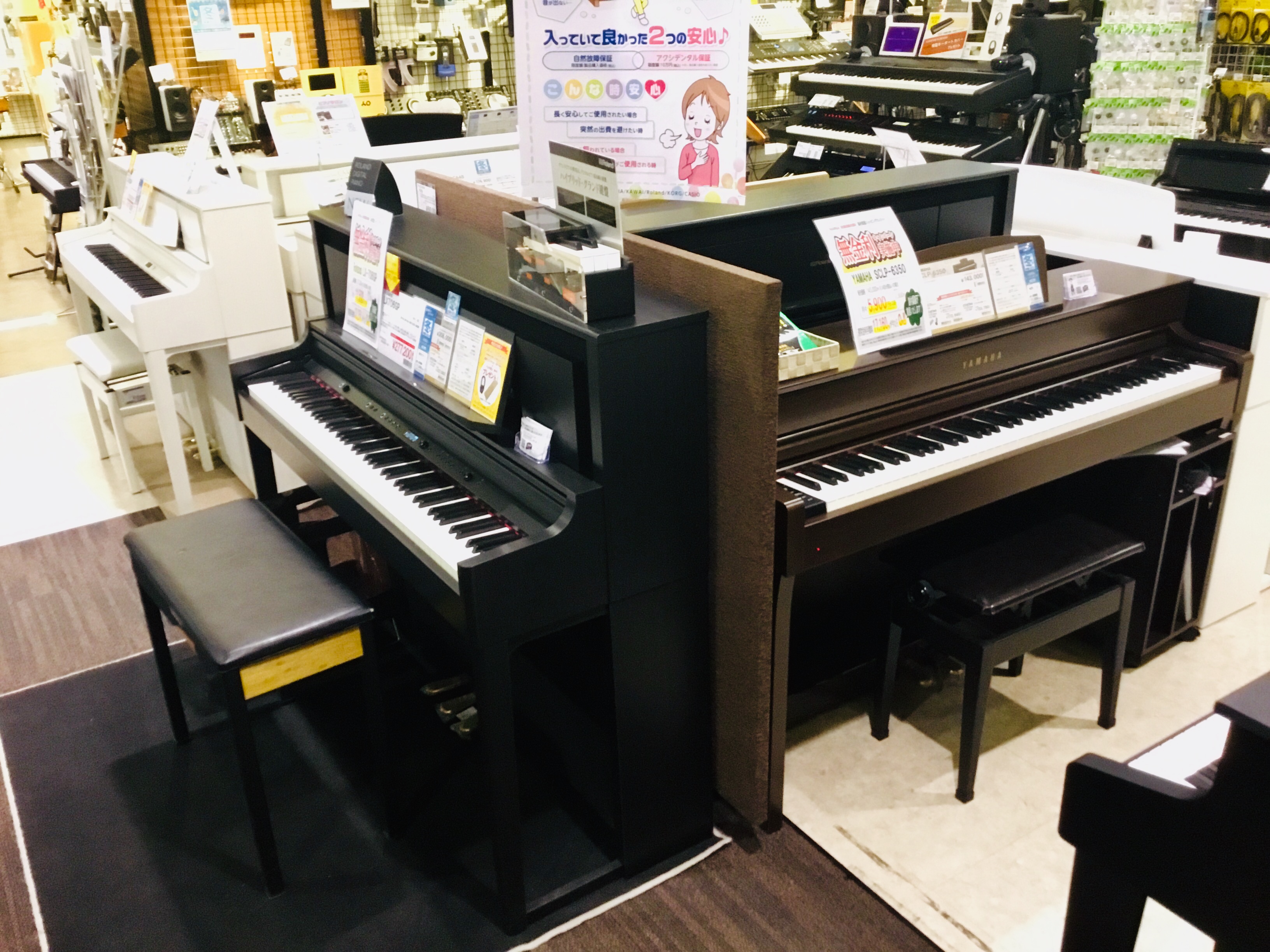 Gp 新所沢 イメージポケモンコレクション