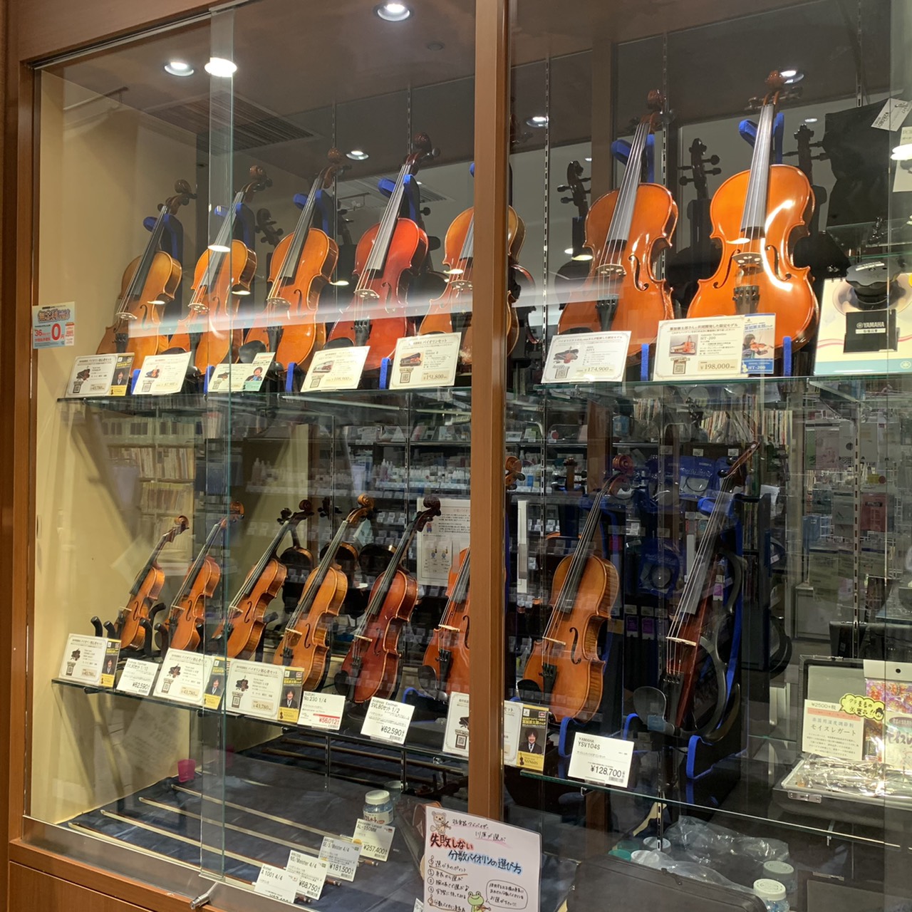 弦楽器総合】2022年最新 初心者におすすめの賢いバイオリンの選び方