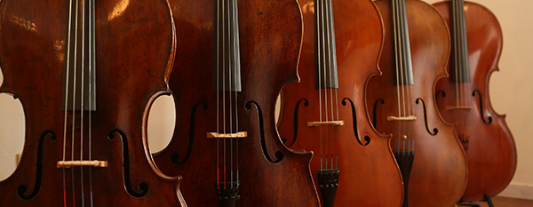【バイオリン】バイオリンのお手入れ徹底解説～楽器を良い状態に保つ為に～