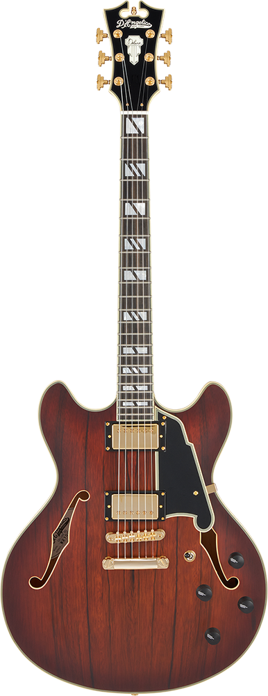 D'AngelicoDeluxe DC Satin(Brown Burst)