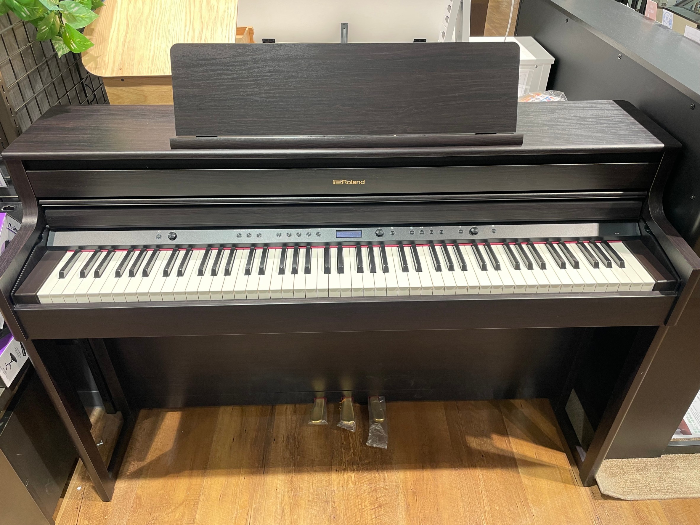 RolandHP704