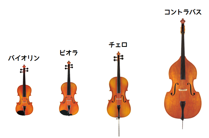 ドンドンわかる 弦楽器の仕組みvol 1 種類 名称編 静岡パルコ店 店舗情報 島村楽器