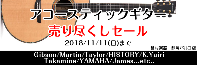 *売りつくしセール開催します！　2018年10月1日情報更新 **11月22日（木）のリニューアルオープンに合わせて、店頭のアコースティックギター売り尽くしセールを開催致します。 ]] *売り切り品ラインナップ！ ***店頭展示品売り切り価格 **Epiphone |*メーカー|*型名|*価格|*割 […]