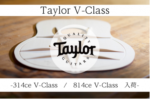 【話題のNEWモデル】Taylor 314ce V-Class 814ce V-Classが遂に入荷!!