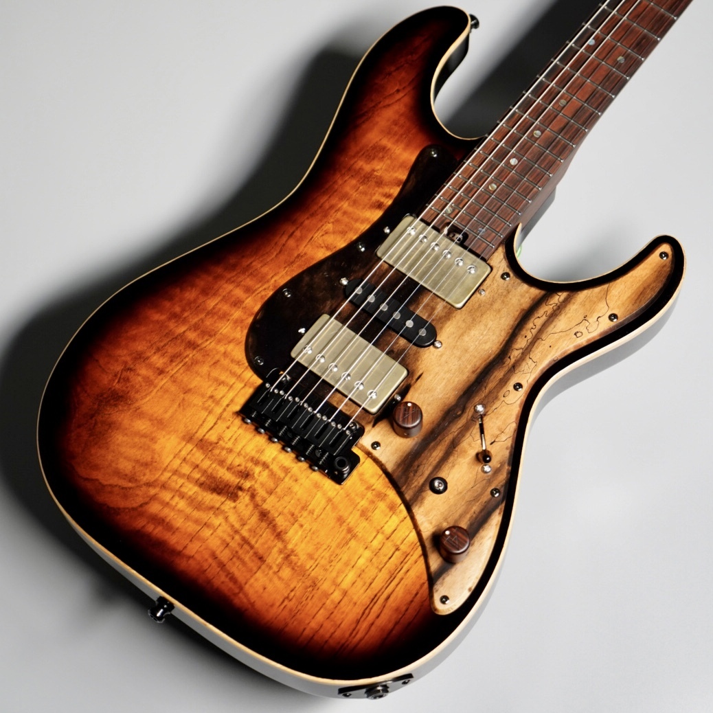 Altero Custom Guitars ASTRA/Jacaranda Neck【静岡パルコ店ハカランダプロジェクト第5弾モデル】