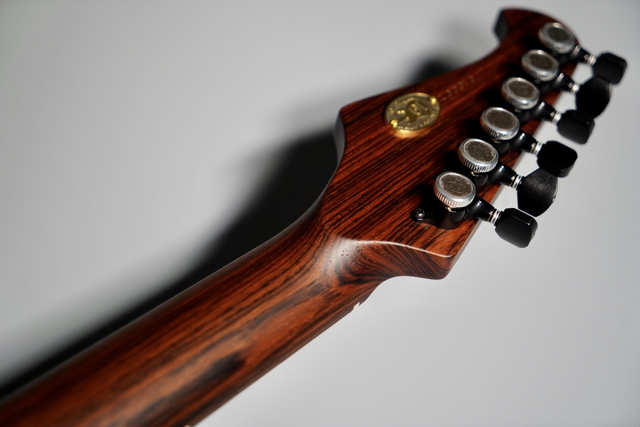 Altero Custom Guitars ASTRA/Jacaranda Neck【静岡パルコ店ハカランダ