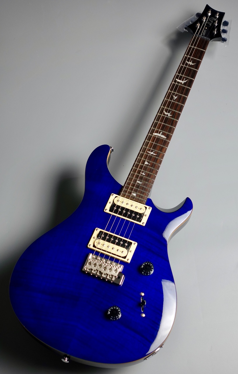 HAPPY NEW YEAR 2021】Paul Reed Smith SE Custom 24 静岡パルコ店