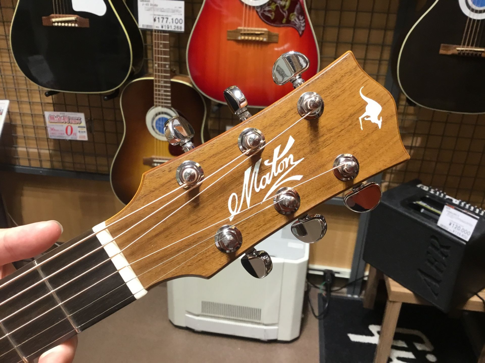 【アコースティックギター入荷情報】MATON EBG808TE、EBGB808-NASHVILLE 入荷しました！